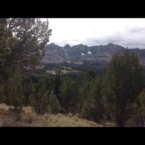 Meet your Posher, Dennis